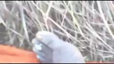 Horny Desi south indian village cheating fucked husband friend jungle by in outdoor fucking sound clear audio slow motion