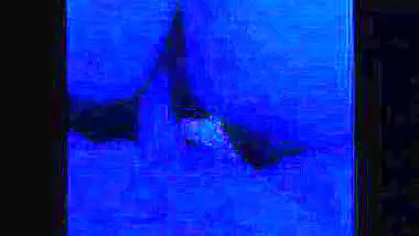 Girl sucks dick and enjoys xxx actions with her lover